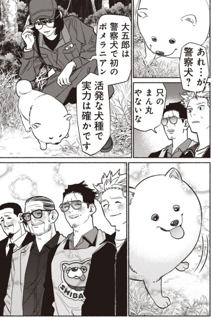 大五郎は警察犬で初のポメラニアン