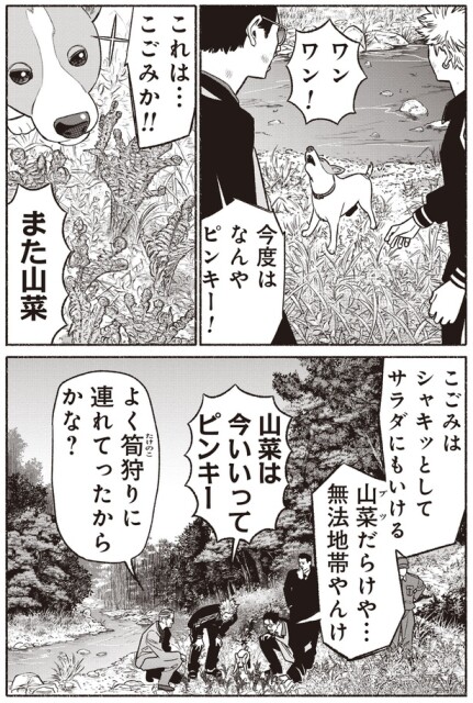 今度はなんや、ピンキー！