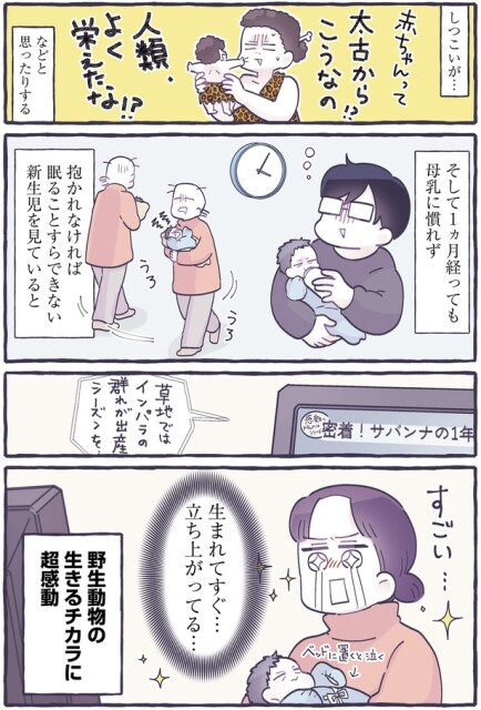 赤ちゃんって太古からこうなの！？