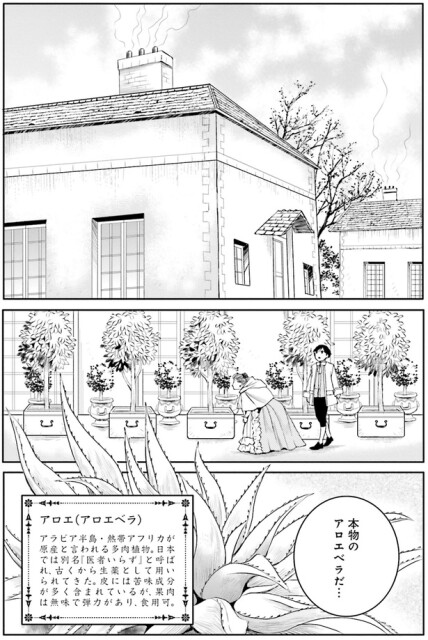熱帯園に来てみると