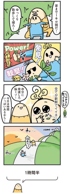ゆっくり散歩して帰ろ！
