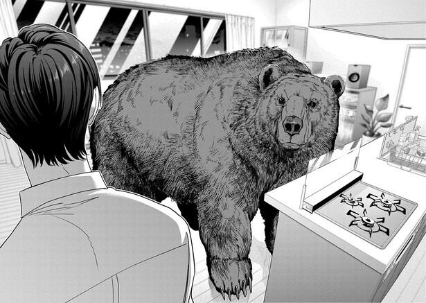 熊