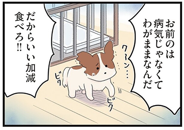 お前のは病気じゃなくてわがままなんだ