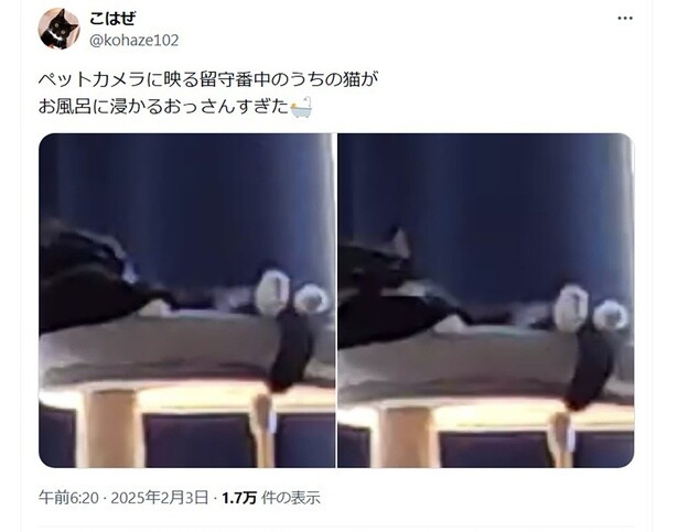 ペットカメラに…▶次はおっさんみたいなこはぜちゃん（⇒次へ）