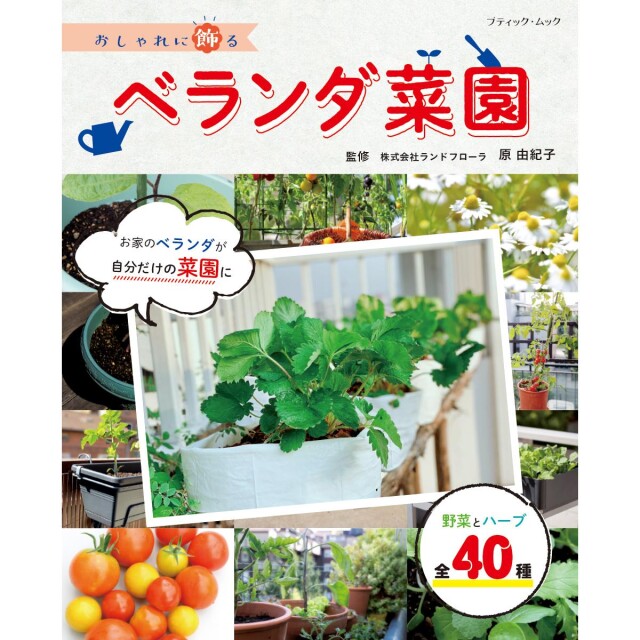 bm1539_book_1624250373