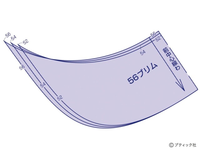 lbs8125_p79_map_11_1625281688