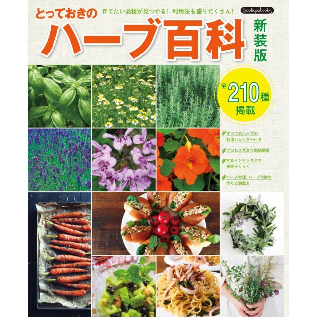 k72_book_1689729030