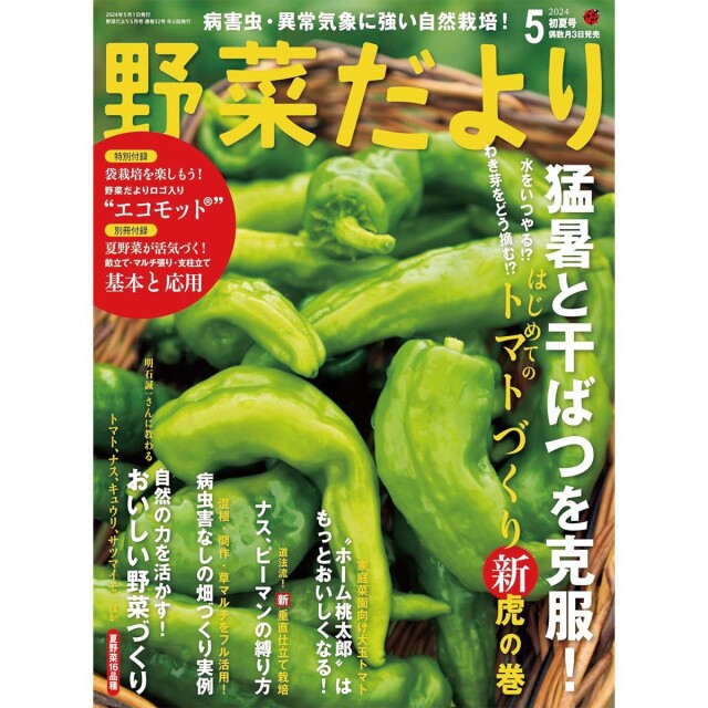 YD32_book_1718075474