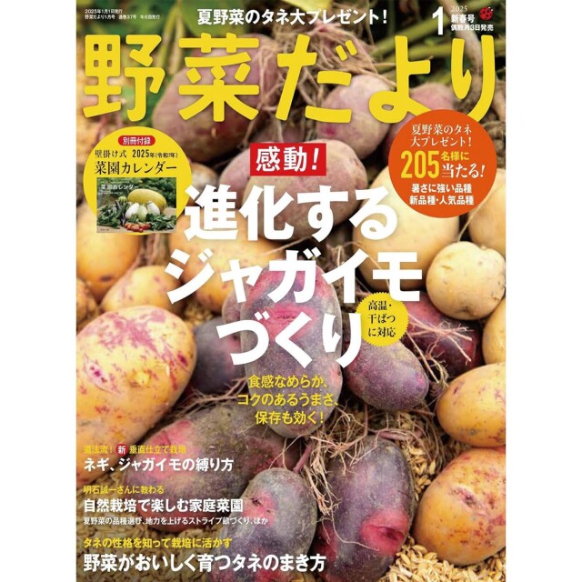 YD37_book_1738559795