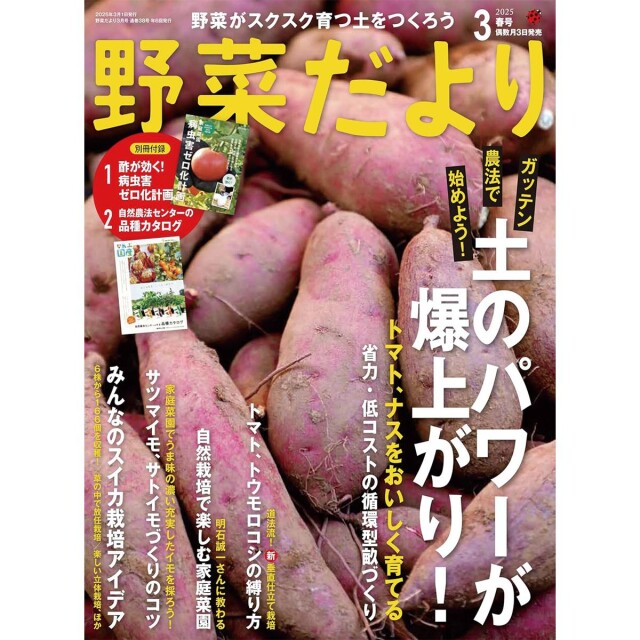 YD38_book_1742175180