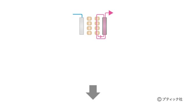 lbs8615_p3_flow_3_1748579675