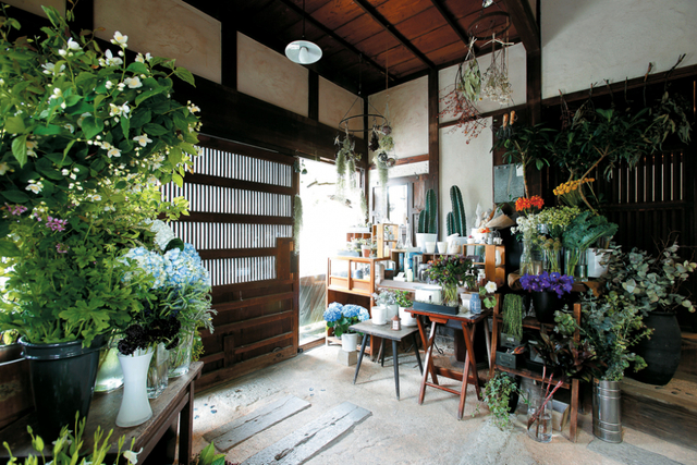 個性あふれるお花屋さん探訪 Vol 1 コラム 緑のgoo 個性あふれるお花屋さん探訪 Vol 1 コラム 緑のgoo