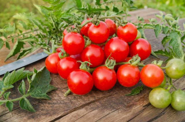 トマトより栄養価が高い？ミニトマトを効率良く摂取する方法