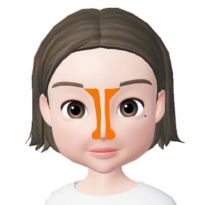 眉頭の下のくぼんだ部分から小鼻の付け根に向かって、真っ直ぐシェーディングを入れます。小鼻全体にも影を入れると立体感がUPして、より鼻が高い印象を演出することができます