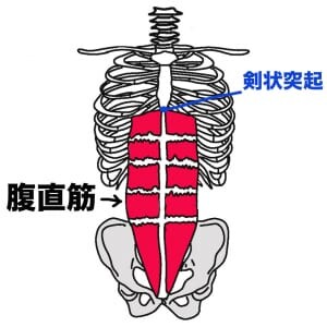 ぽっこりお腹にアプローチ！「ながらヨガ」でぺたんこお腹に