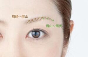 眉頭から眉山は、毛が下から上に向かって生えていることが多いです。眉を描く時も写真の茶色い矢印の方向を意識して毛と毛の隙間を埋めるように1本1本描きたします