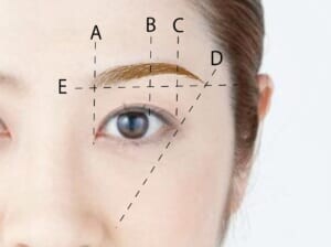 基本となる眉の形を確認しましょう。