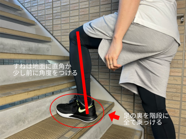 体型をコントロール！日常の動きでできるすきま時間エクサ