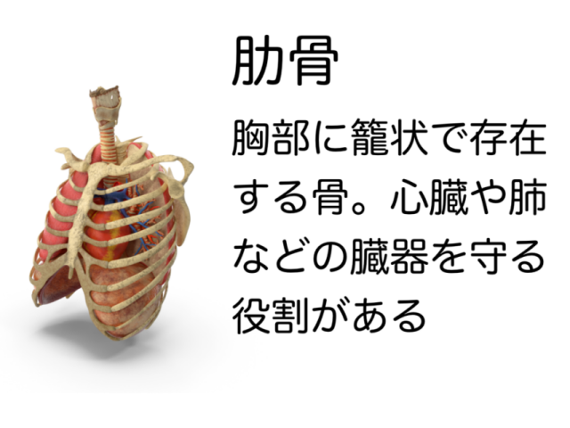 座り方で浮き輪肉が？太る座り方と痩せる座り方解説