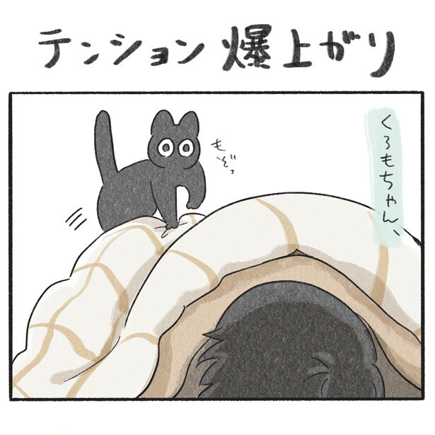 くろもとぽんず～うちの猫がかわいすぎる！～より