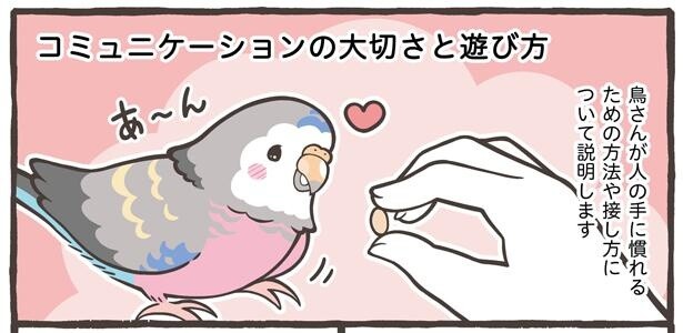 「コミュニケーションの大切さと遊び方」1/21