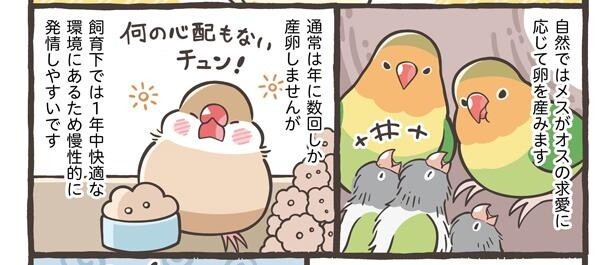 「くりかえす発情にご注意」2/18
