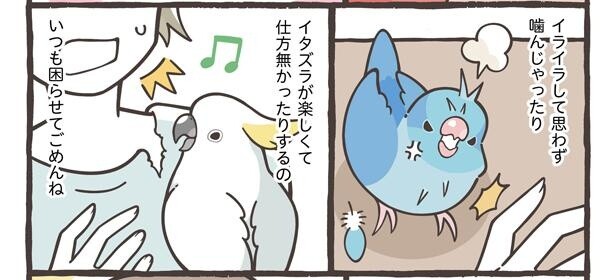 「飼い主への手紙」8/15