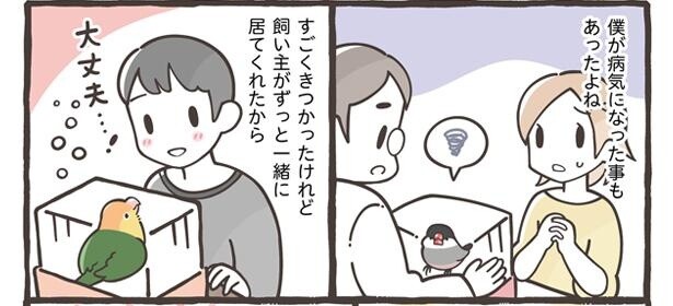 「飼い主への手紙」10/15