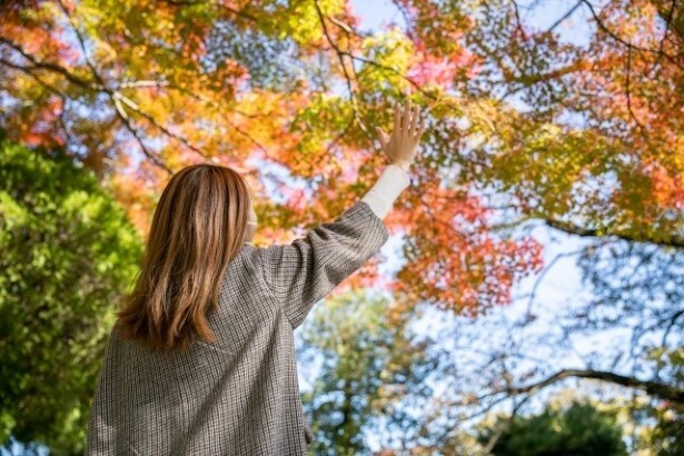 紅葉を眺めることで前向きな気持ちに！
