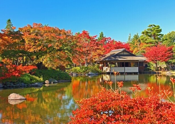 国営昭和記念公園の紅葉