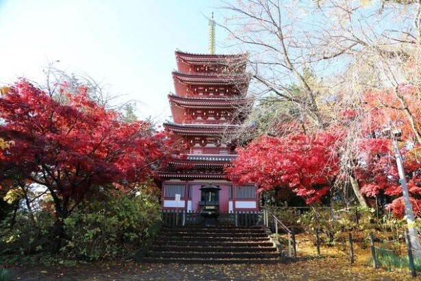 色鮮やかな紅葉が境内を彩る
