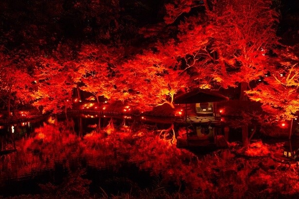 過去に同イベントでライトアップされた八芳園の日本庭園の様子