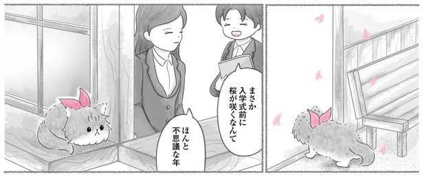 「にゃん旅鉄道～さくらの物語～」第14話2