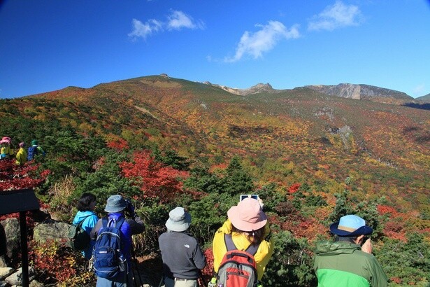 ミズナラ、ブナなどが美しく色づく紅葉時期は多くの登山客が訪れる／安達太良山の紅葉