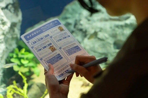 「固有種の探検隊 in サンシャイン水族館」のレポートが公開中