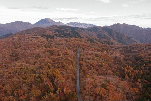 見頃時期の景観／古峰ヶ原高原の紅葉