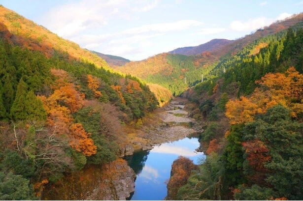 紅葉シーズンには峡谷の山並みが色鮮やかに彩られる／神通峡の紅葉