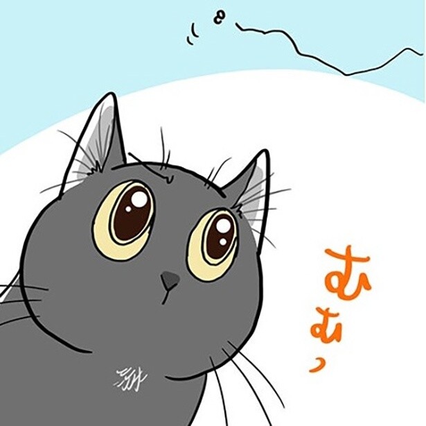 家の中で飛ぶ虫を発見!!さあ、家猫軍団、どうする!?