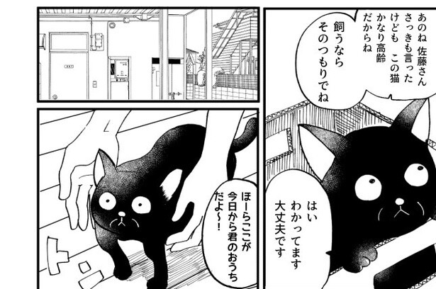 「拾ってくれた女の子の幸せを願う老猫のハナシ」04