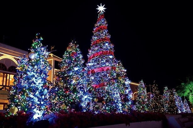 「クリスマスツリー」※2025年1月13日(祝)まで