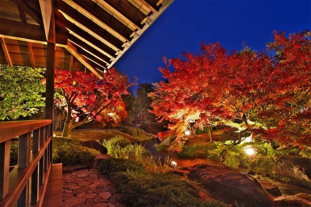 見頃が近づく紅葉スポットをピックアップ(写真は姫路城西御屋敷跡庭園 好古園の紅葉)