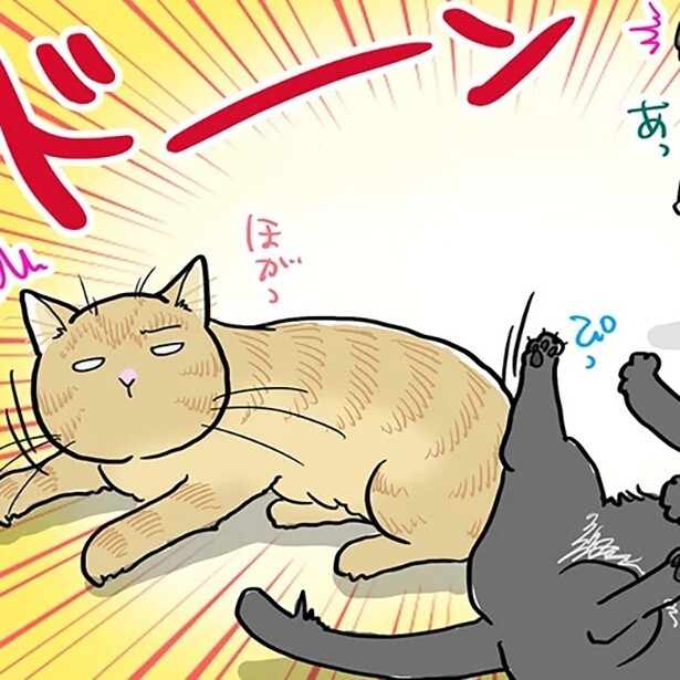 お昼寝中の猫たちもびっくり!!夏ならではの音…その正体とは？