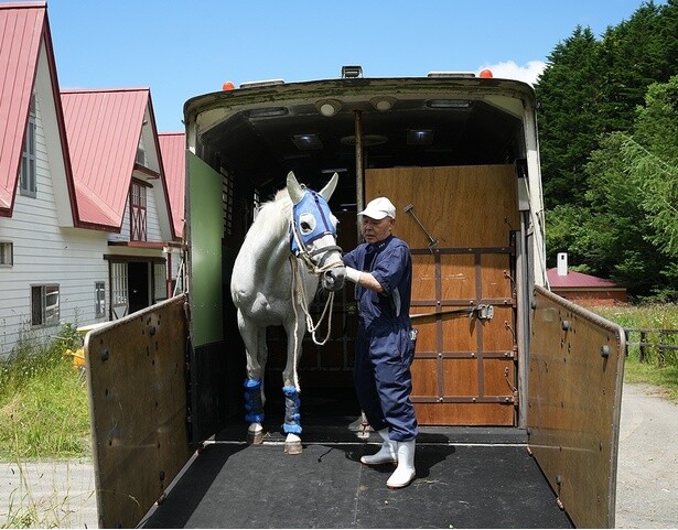 【写真】慣れていない馬の積み込みには細心の注意を払う