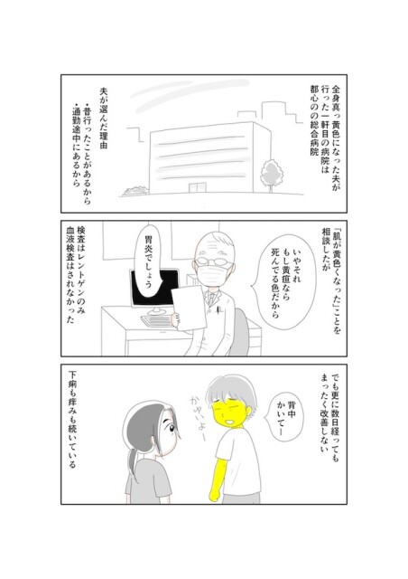 夫のすい臓がんが判明するまで: すい臓がんになった夫との暮らし8