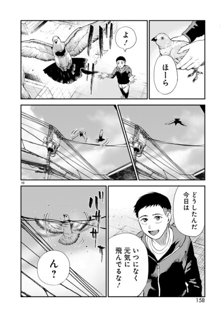 「鳩の鳴く家」10