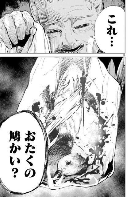 「鳩の鳴く家」15