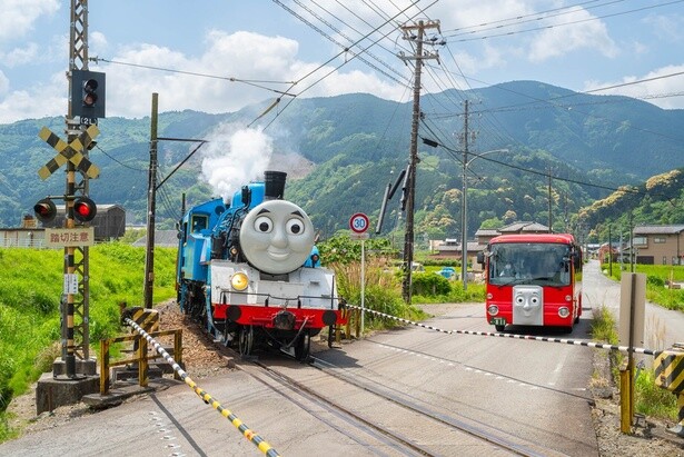 Amazon.co.jp: きかんしゃトーマス 大井川鐡道特別豪華版 走れ