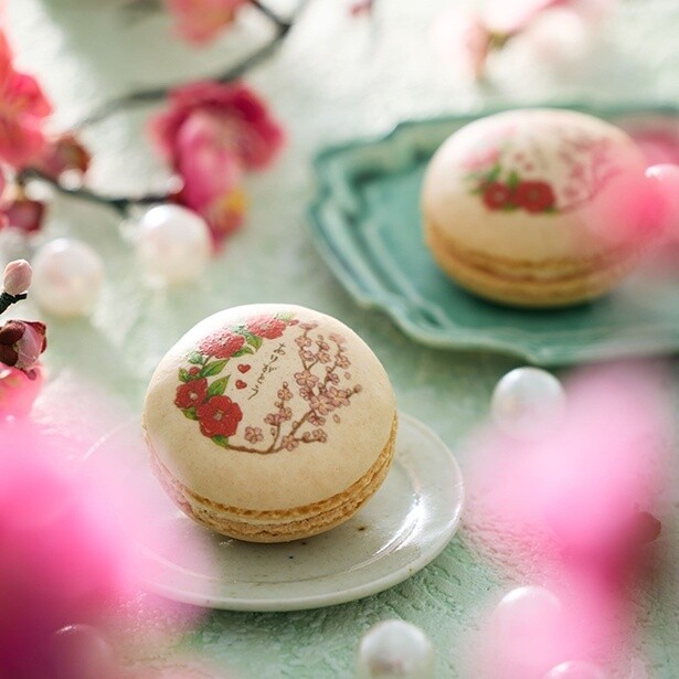 【写真】ピースフルマカロン【ありがとう】(ヴァニーユ)