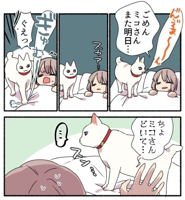 要求を断られ、胸の上でストライキ(？)を敢行するミコさん