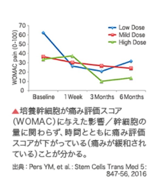 治療後の膝の痛みをスコア化したグラフ。時間経過とともに痛みが緩和している